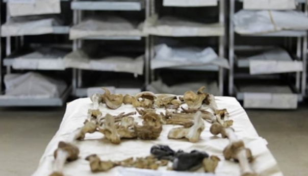 Identifikovani posmrtni ostaci žrtve genocida počinjenog u Srebrenici