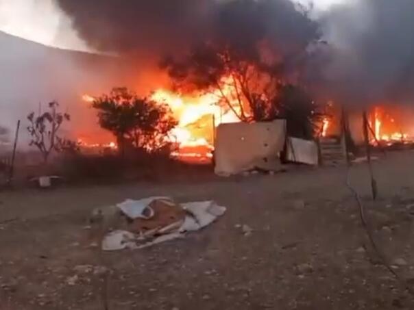 Ilegalni izraelski doseljenici zapalili masline kod Ramallaha