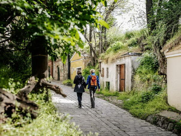 Istraživanja: Boravak u prirodi unaprjeđuje opće blagostanje
