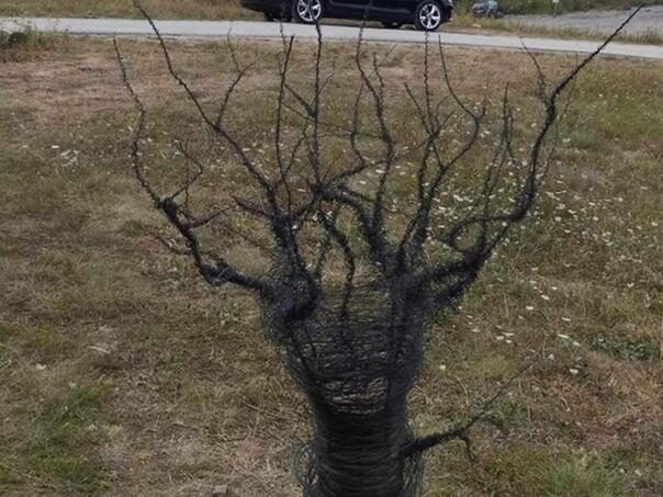 Izložbom mladih umjetnika završava festival 'Javorwood'