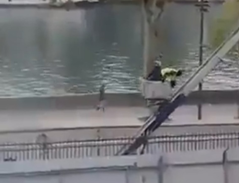 Izraelskoj kompaniji se javili lopovi iz Louvrea: Ponudili su nam nakit