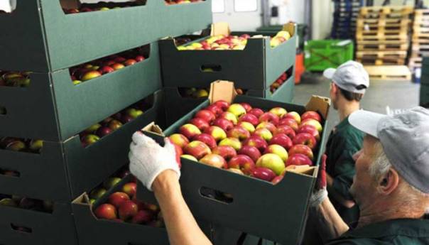 Izvoz voća u 2020. veći za 5,1 posto u odnosu na 2019. godinu