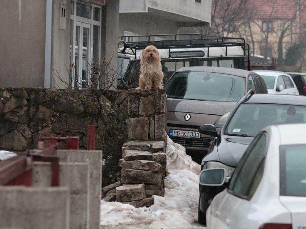 Jecaji na sahrani dječaka na Cetinju, pred kućom srceparajući prizor