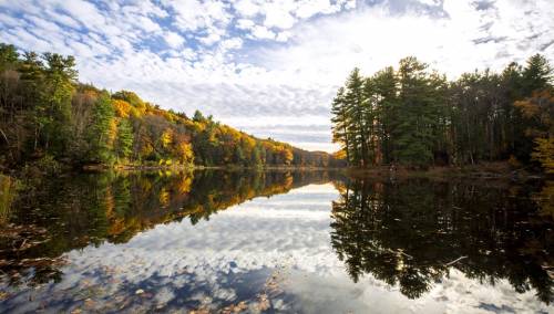 Jesen u Massachusettsu: Prirodni rezervat kao oaza za odmor tijela i duha