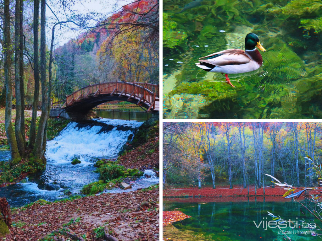 Jesenja čarolija na Vrelu Bosne