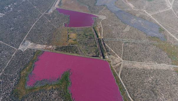 Jezera u Argentini misteriozno postala ružičasta!