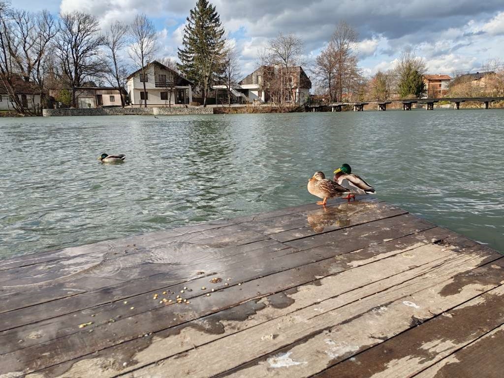 Jutro prohladno uz oblačnost, sunčan nastavak dana