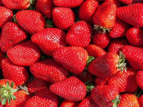 Kako odabrati idealne jagode: Donosimo par trikova