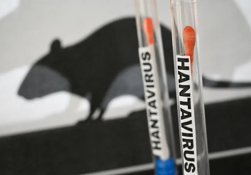 Kako se širi hantavirus od kojeg strahuje svijet?