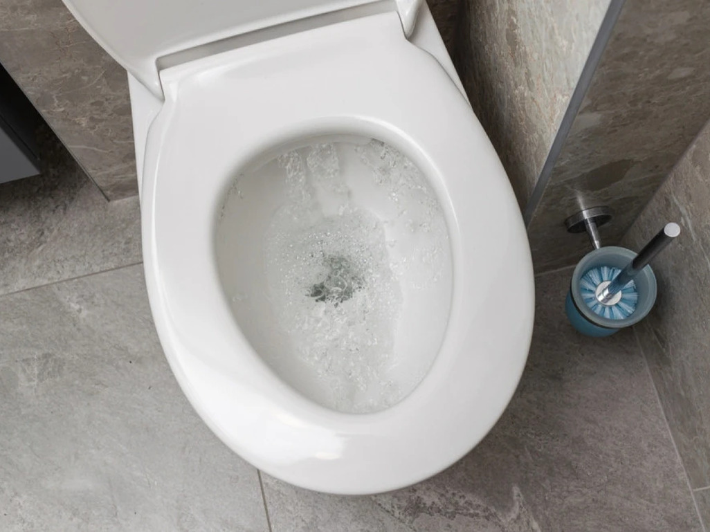 Kamenac iz WC šolje će nestati za sekundu uz pomoć jeftinog trika