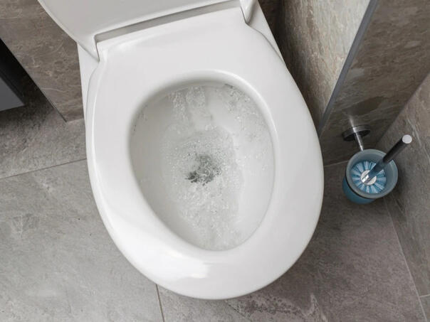 Kamenac iz WC šolje će nestati za sekundu uz pomoć jeftinog trika