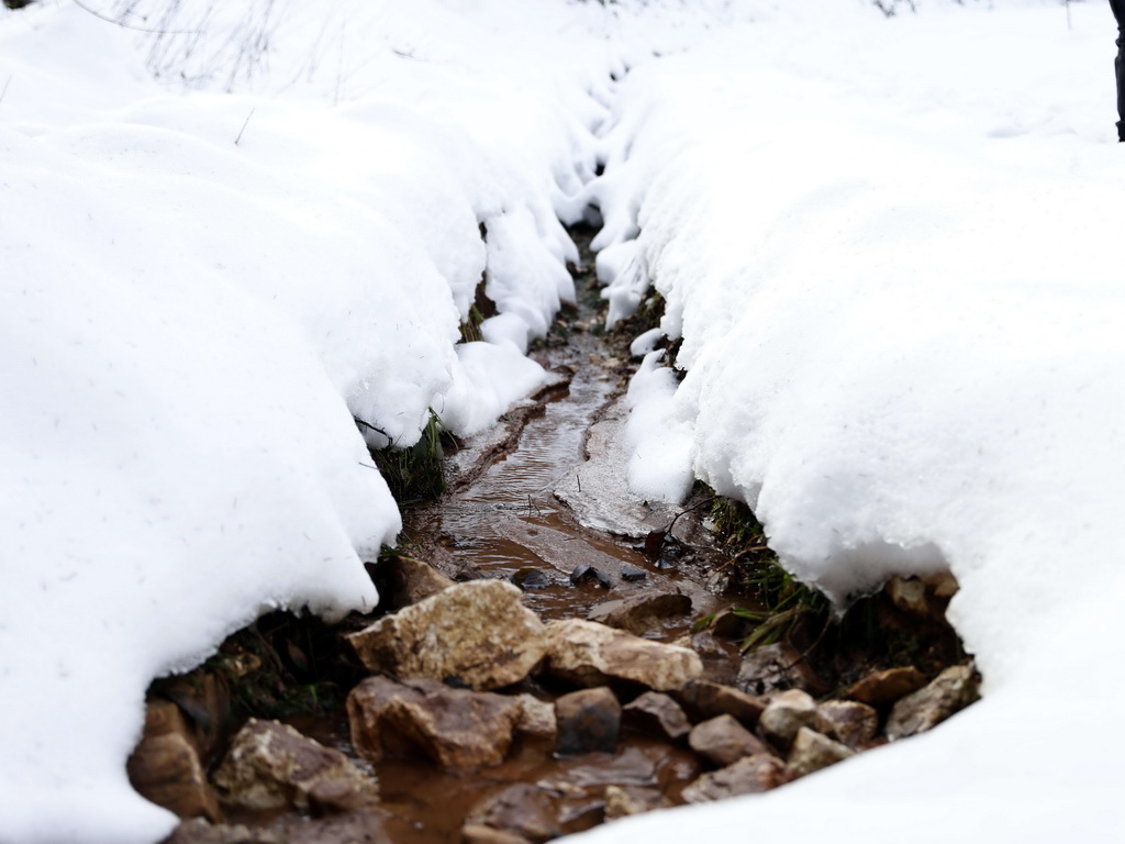 Kantonalna uprava civilne zaštite Sarajevo apelira na preventivne mjere u slučaju poplava