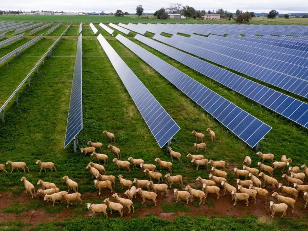 Kina prvi put ima više solarnih nego termoelektrana na ugalj