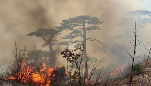 Kiša pogasila požare u HNK