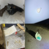 Kod Bugojanca pronađene razne vrste droga i oružje