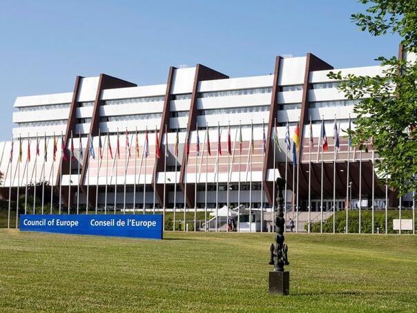 Komitet Vijeća Evrope: Bh. policija koristi brutalne metode