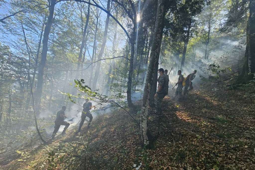Konačno pod kontrolom: Vojnici OSBiH danima se borili s požarima kod Bihaća