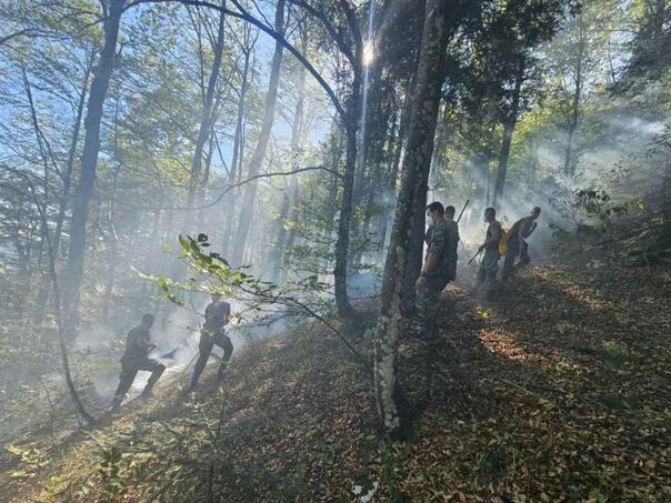 Konačno pod kontrolom: Vojnici OSBiH danima se borili s požarima kod Bihaća