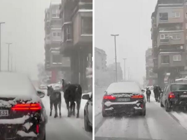 Konji slobodno šetaju gradom u Travniku dok snijeg blokira puteve