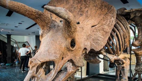 Kostur Velikog Johna prodat za 6.65 miliona eura