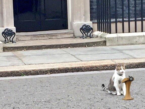 Larry, mačak iz Downing Streeta, nadživio šest premijera i čeka sedmog