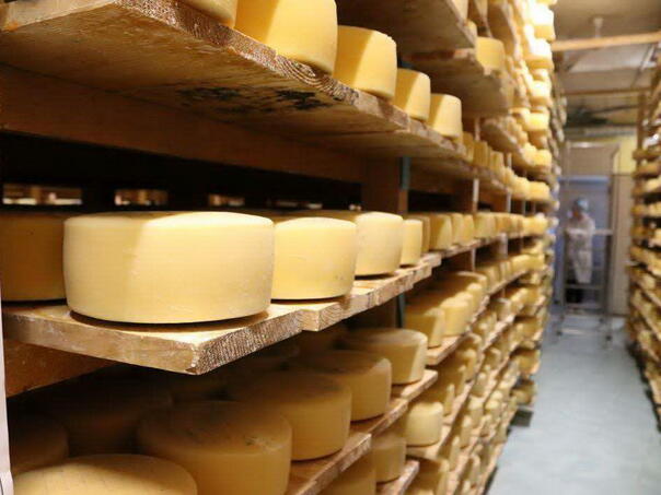 Livanjski sir prvi prehrambeni proizvod sa Zapadnog Balkana zaštićen geografskom oznakom EU