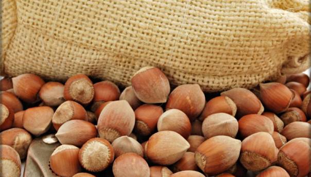 Lješnik i sve njegove blagodeti