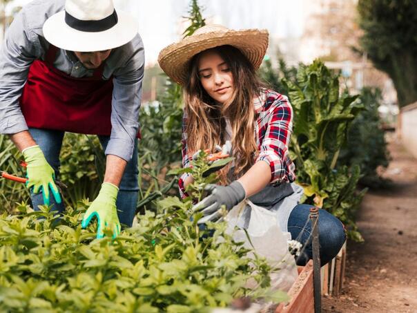 Mart je ključan za vrt i baštu: Evo šta treba pripremiti već sada