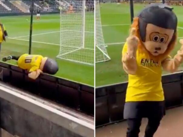 Maskota u Engleskoj izbačena sa stadiona zbog pretjeranog konzumiranja alkohola
