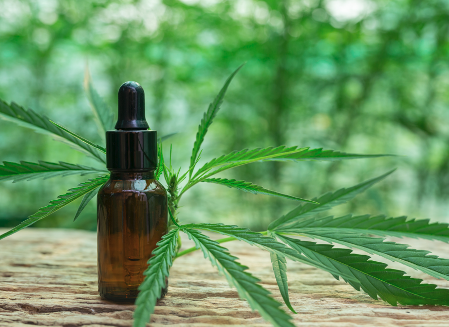 Kako i kada do terapije kanabisa u BiH?