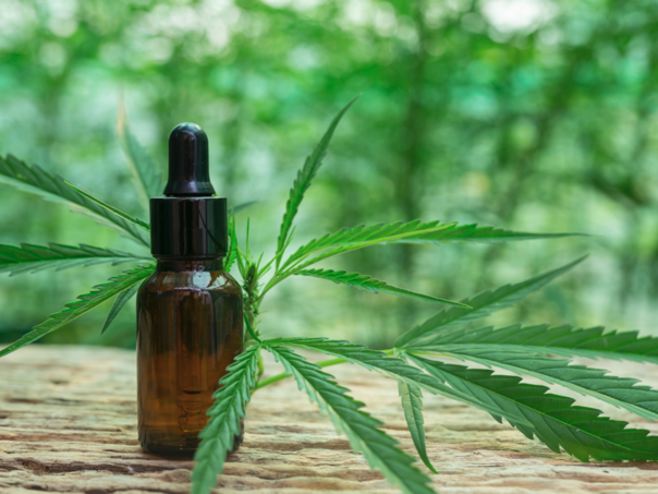 Kako i kada do terapije kanabisa u BiH?