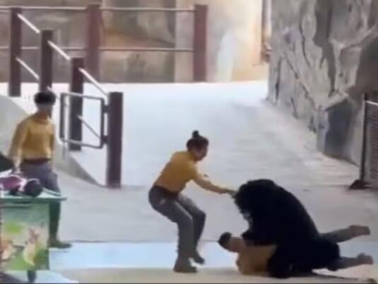 Medvjed napao čuvara zoološkog vrta u kineskom Hangzhou