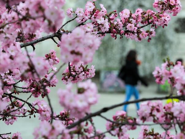 Meteorolozi objavili prognozu za BiH do 24. marta: Stiže nam promjena vremena
