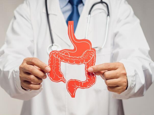 Mikroplastika u crijevima može pogoršati upalne bolesti