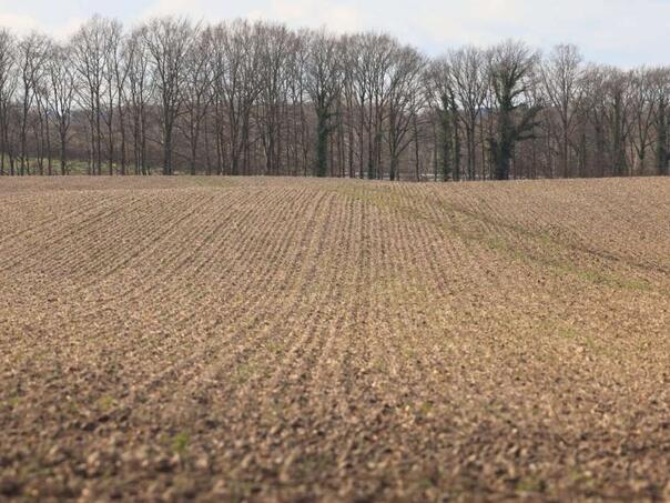 Ministarstvo privrede KS objavilo javni poziv za uređenje poljoprivrednog zemljišta