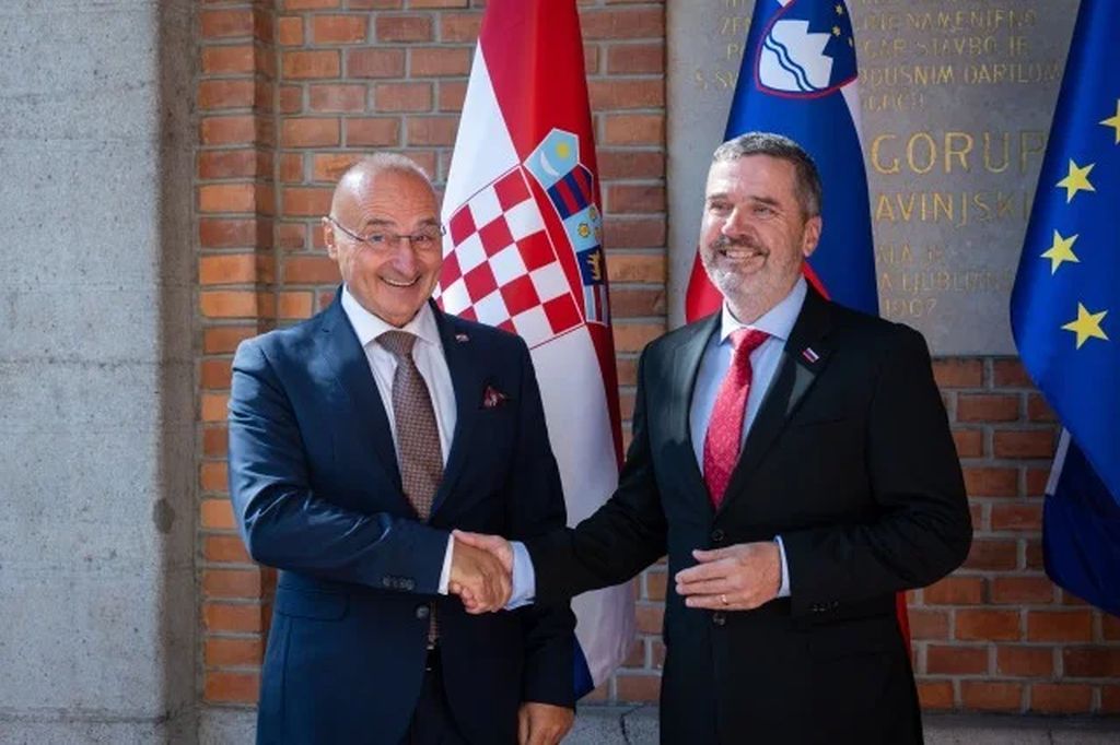 Hrvatska i Slovenija osudile Mladićev doček u Beogradu