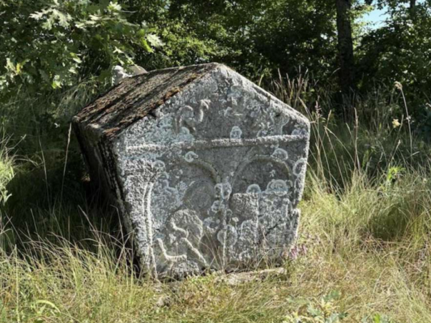 Mladi iz tri zemlje mapirali više od 250 lokaliteta stećaka