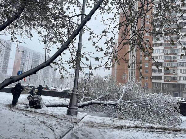Moskvu pogodila snježna oluja, potpuni kolaps u gradu