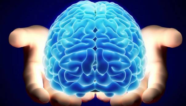 Mozak modernog čovjeka razvio se kasnije nego što se misli