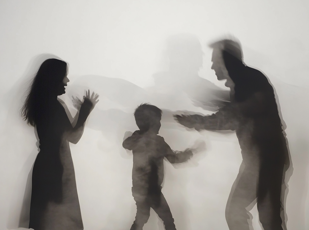 MUP CG: Sedam života izgubljeno zbog nasilja u porodici