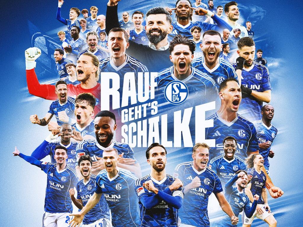Muslić odveo Schalke u Bundesligu, Džeko se vratio na teren!