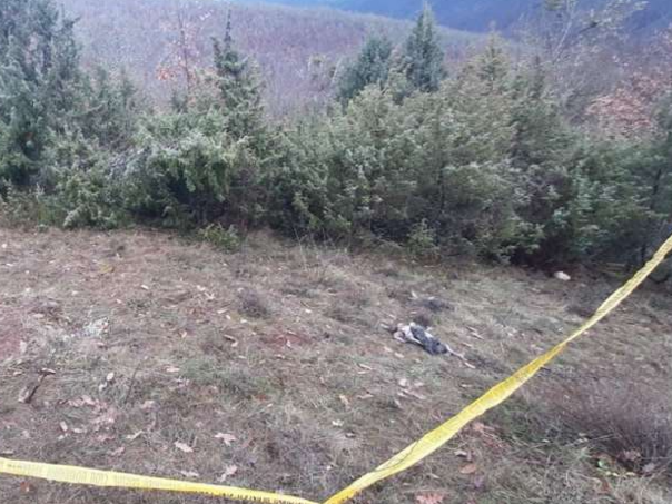 Na području Banovića pronađeni posmrtni ostaci najmanje dvije žrtve