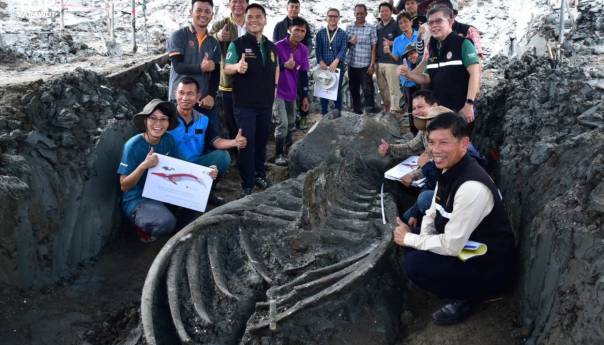 Nađen savršeno očuvan kostur kita star između 3.000 i 5.000 godina