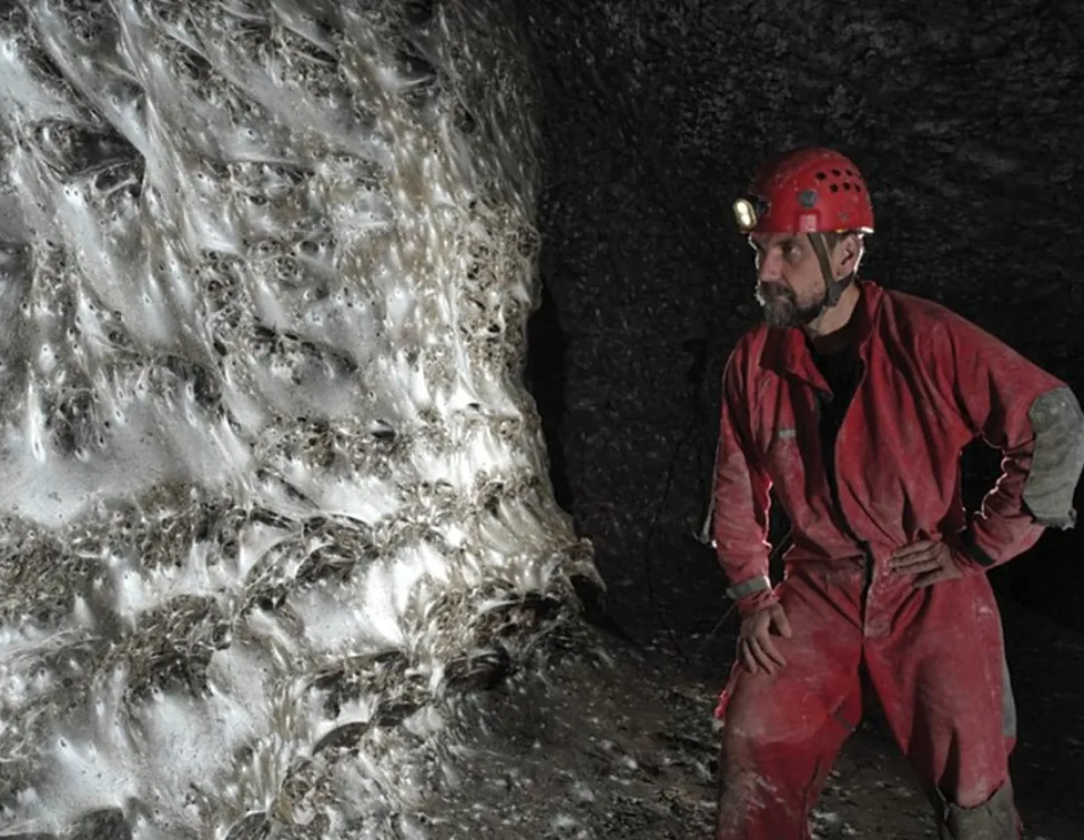 Dom 111.000 paukova: Najveća mreža na svijetu otkrivena na granici Albanije i Grčke