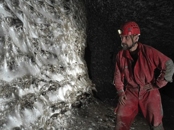 Dom 111.000 paukova: Najveća mreža na svijetu otkrivena na granici Albanije i Grčke