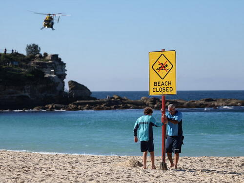 Napad morskog psa u Australiji: Žena u kritičnom stanju, uvedene hitne mjere