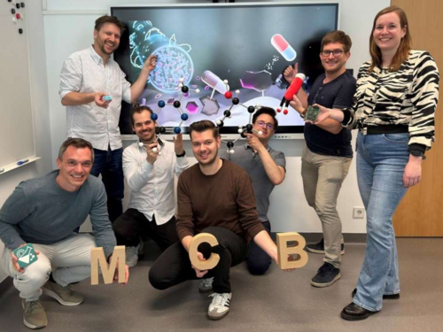 Naučnici iz Beča razvili sistem za precizno oslobađanje lijekova u tijelu