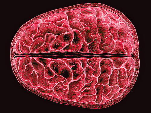 Naučnici otkrili da se ženama tokom menstruacije mijenja cijeli mozak