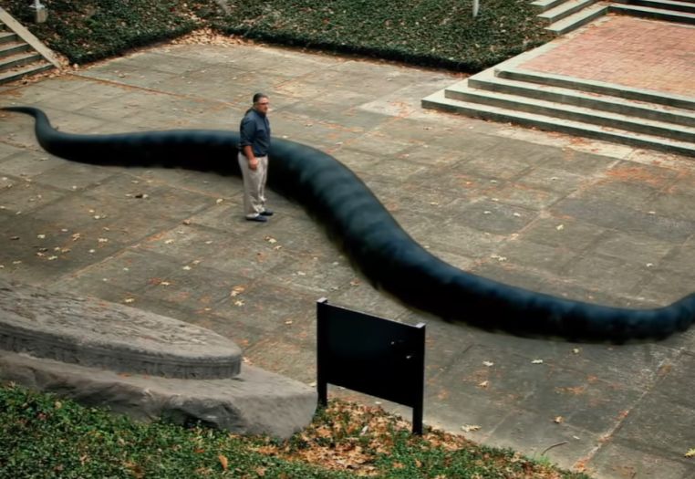 Naučnici pronašli fosil zmije veličine gradskog autobusa težu od tone