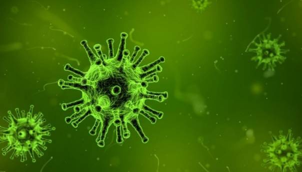 Nema dokaza da se koronavirus širi u Sjedinjenim Državama